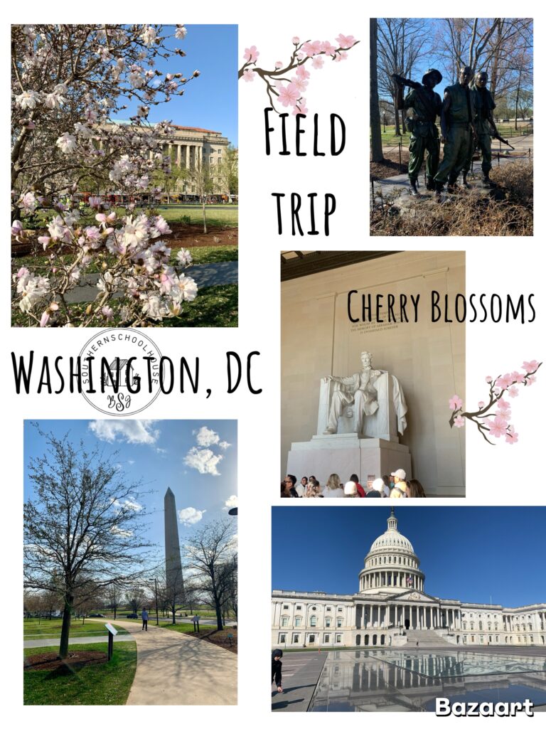 Exploring the Heart of the Nation: A D.C. Field Trip Adventure!